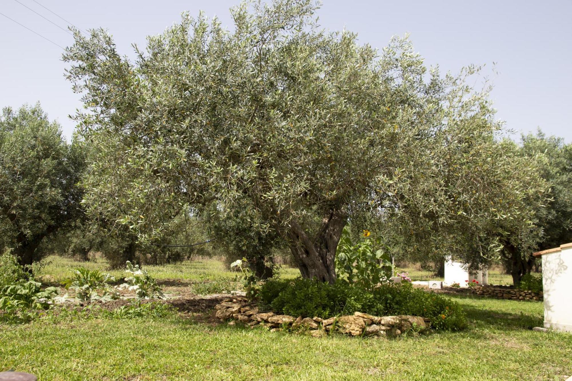 Villa Casa Raineri à Paceco Extérieur photo